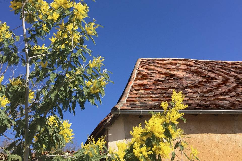 Domaine de la Contie