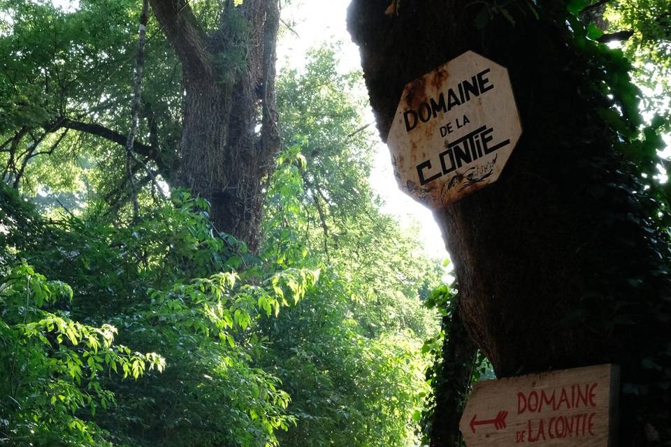 Domaine de la Contie