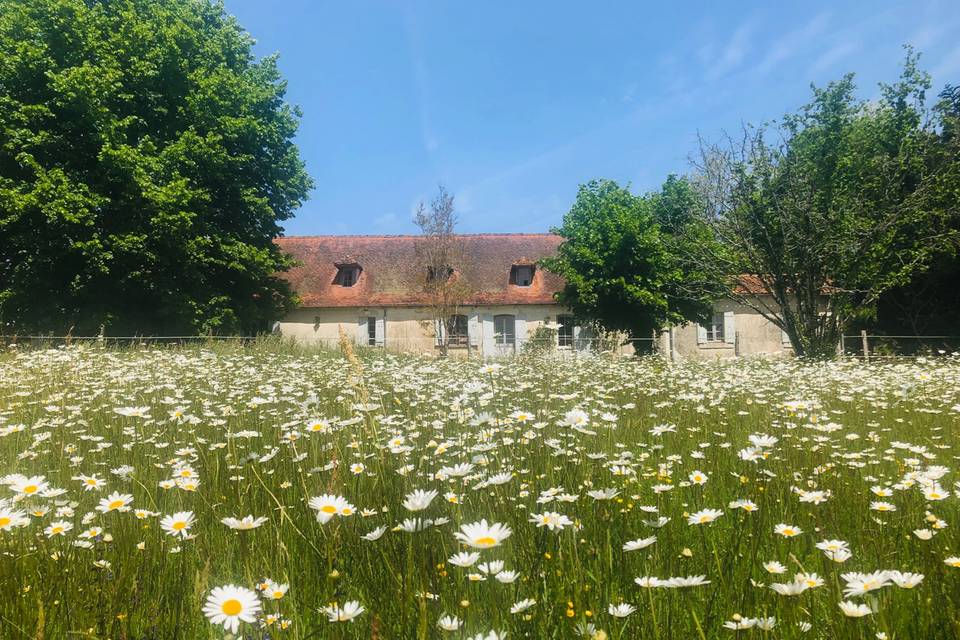 Domaine de la Contie