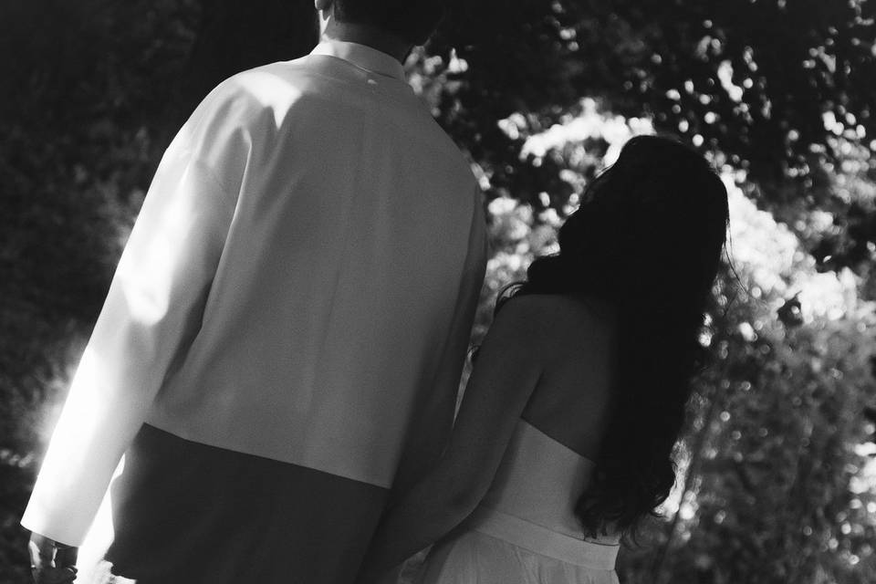 Demestre Photographie