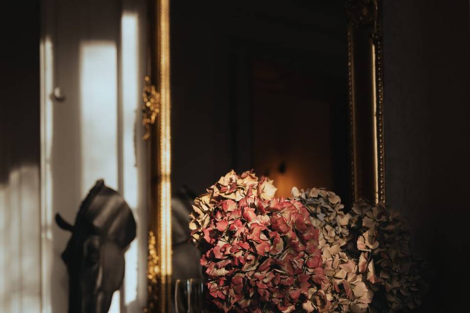 Demestre Photographie