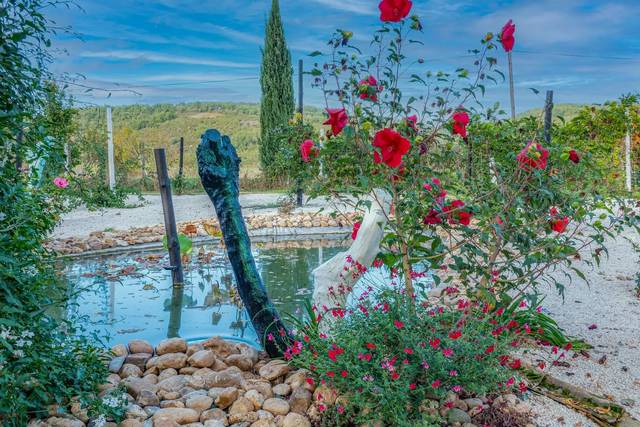 Jardin Zen