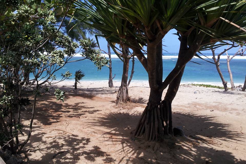 Plage de Saint Pierre