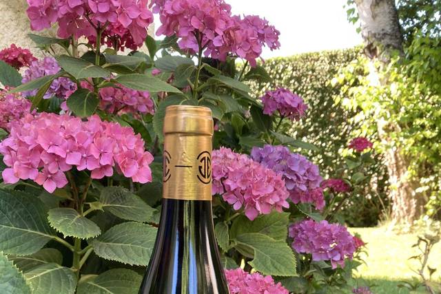 Vin Crozes