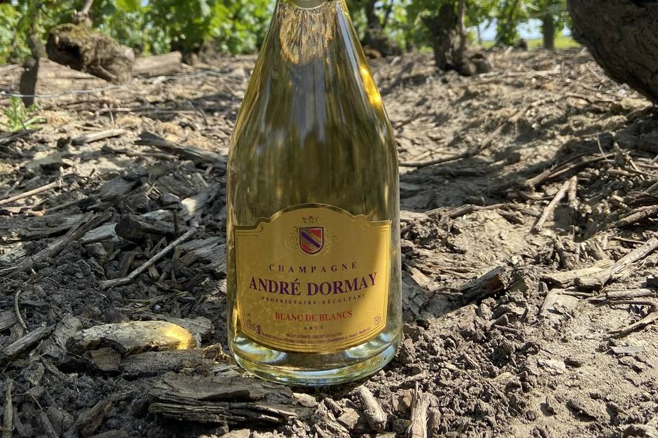 Champagne André Dormay