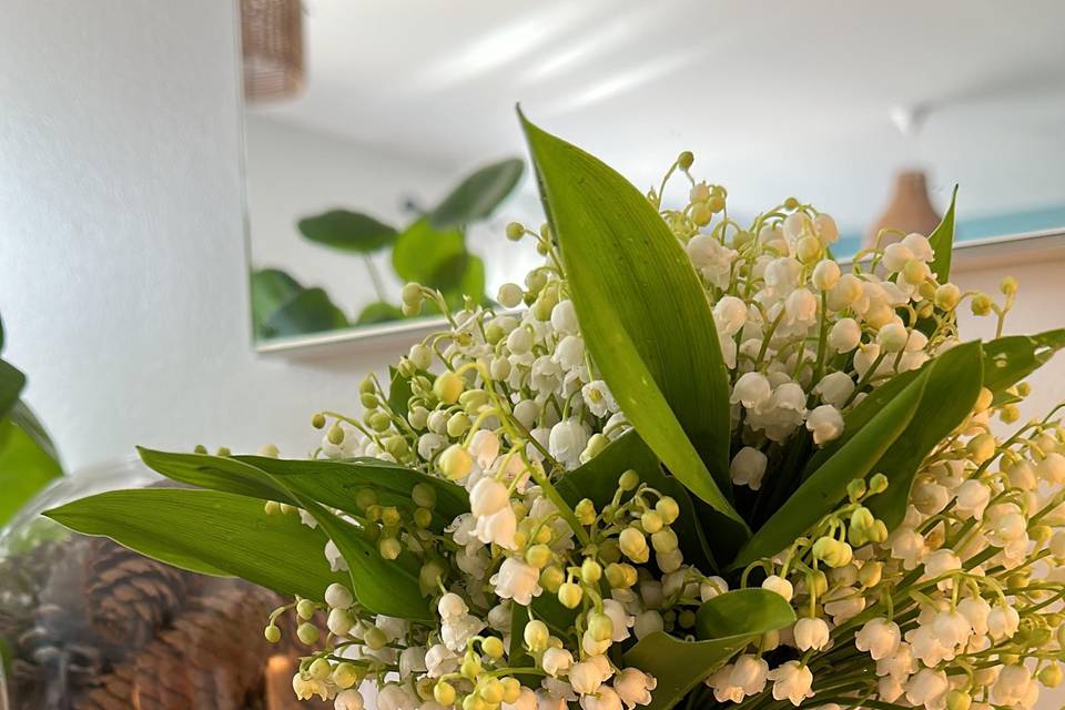 Muguet