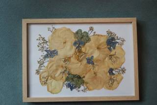 Liliflowerpress
