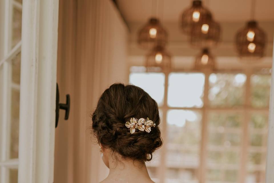 Éveil - Collection 2026