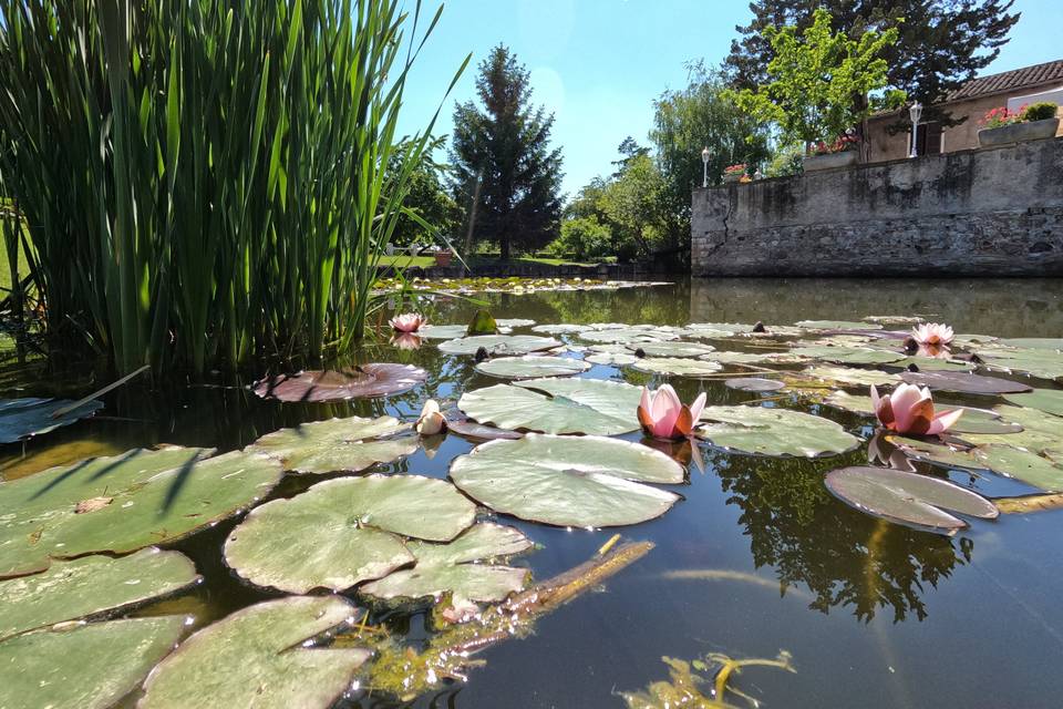 Domaine de Marzé