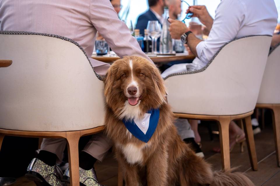 Vin d'honneur