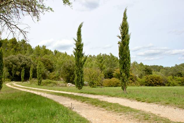 Chemin d'entrée