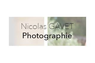 Nicolas Gavet log