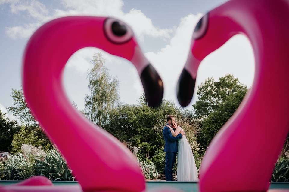 Portrait avec flamands roses