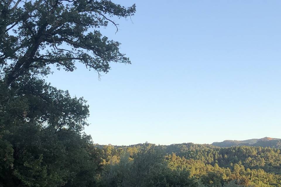 Vue sur le Massif des Maures