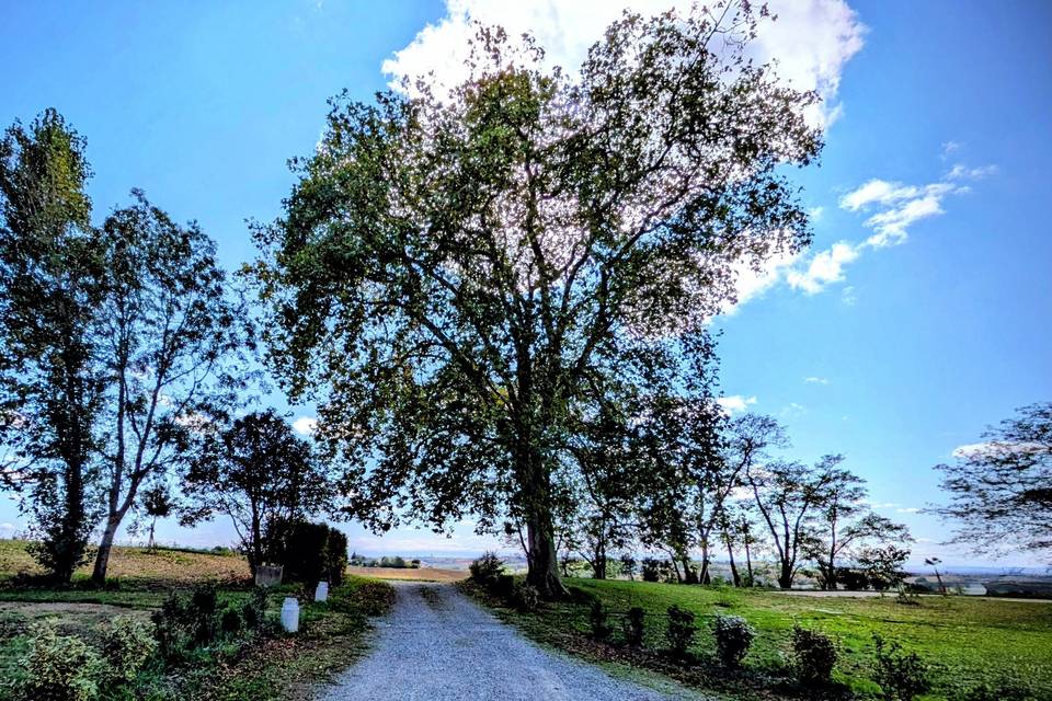Photo de l'entrée du domaine