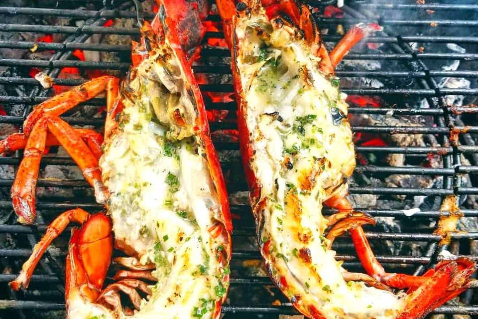 Homard grillés