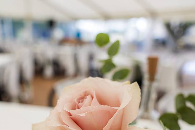 Photo de mariage