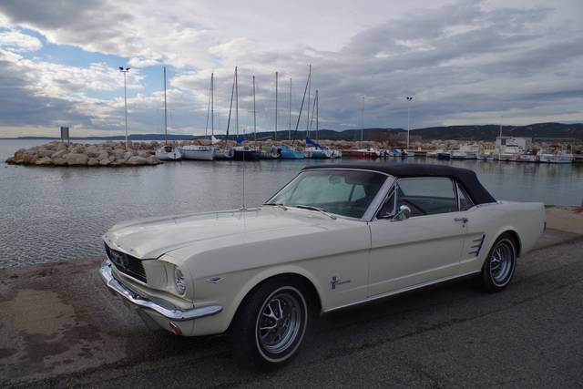 Mustang