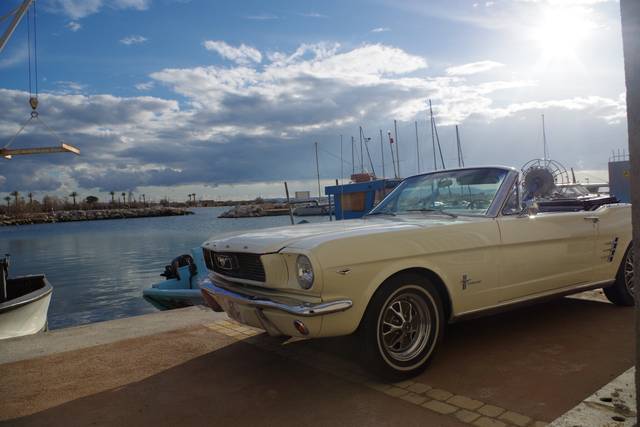 Mustang