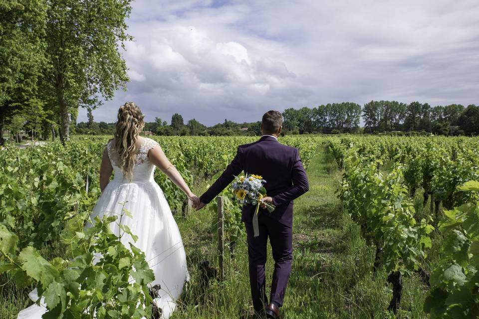 Balade dans les vignes