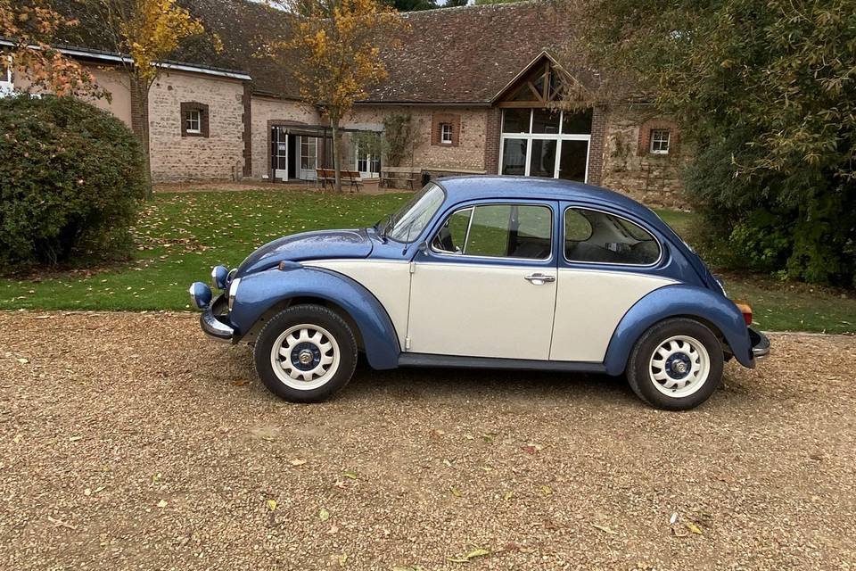 La cox 2