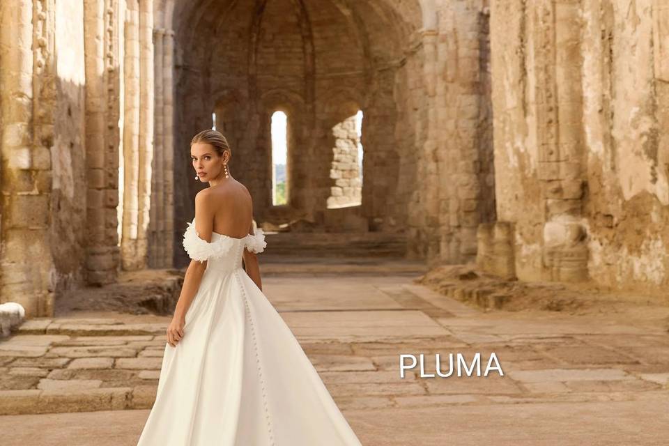 PLUMA