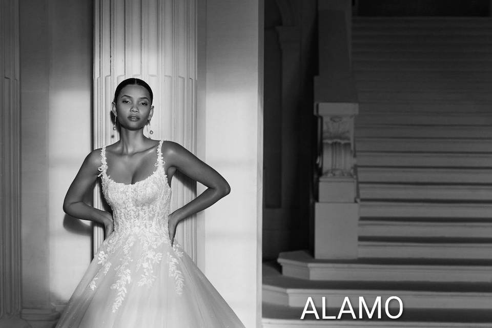 ALAMO