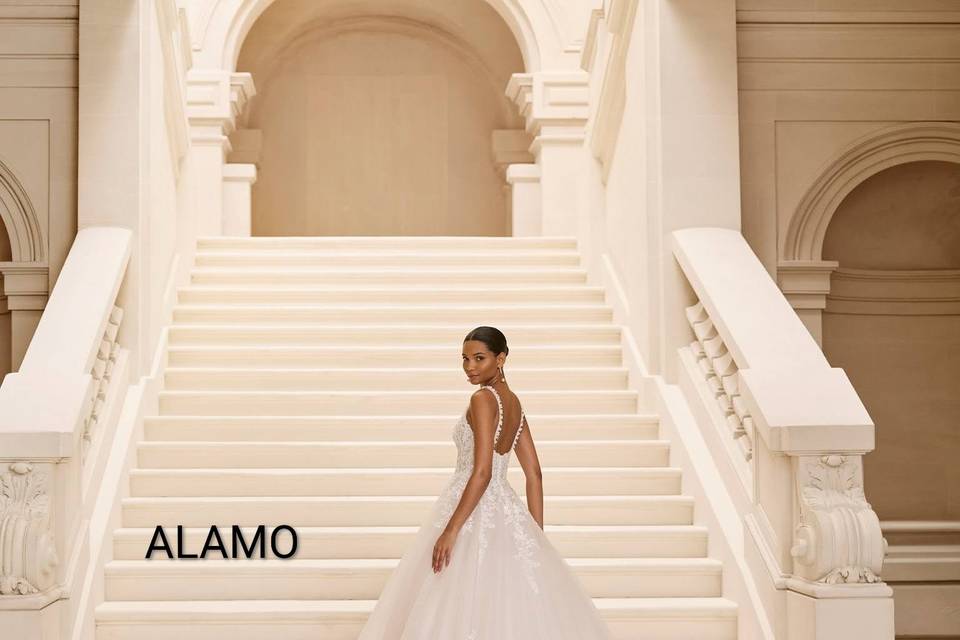 ALAMO