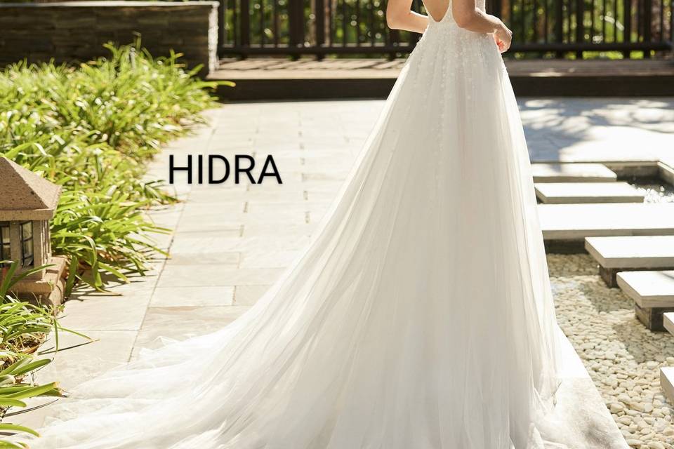 Hidra