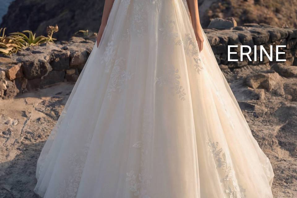 ERINE