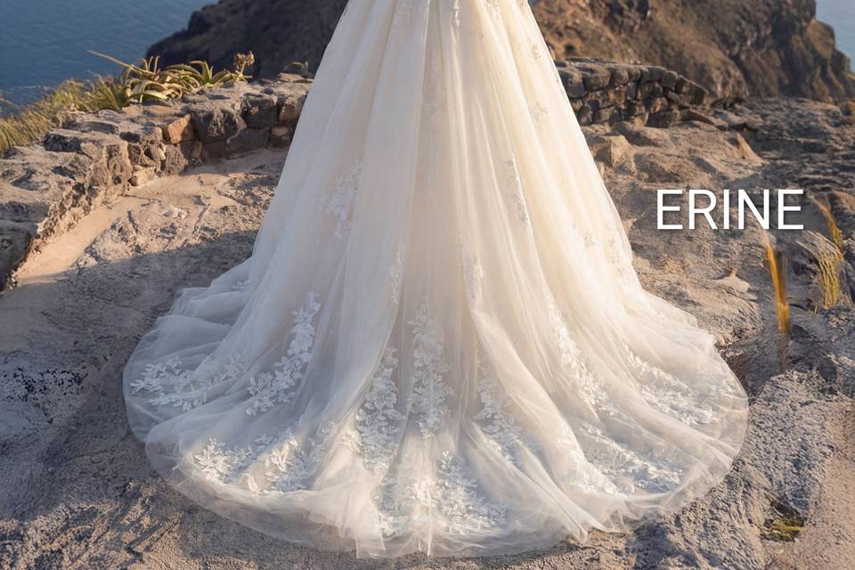 ERINE