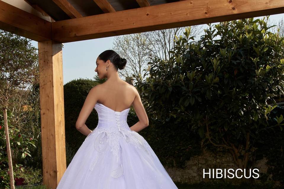 HIBISCUS