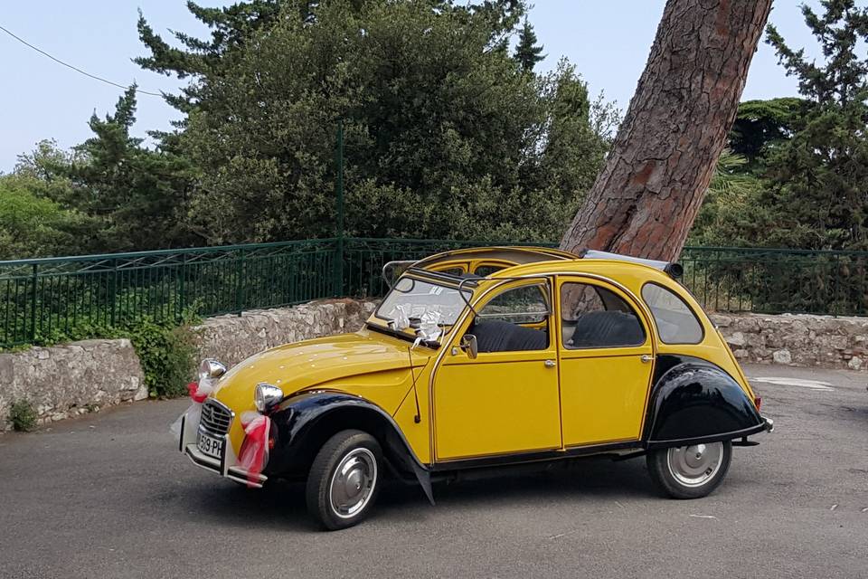 Citroen 2CV Charleston
