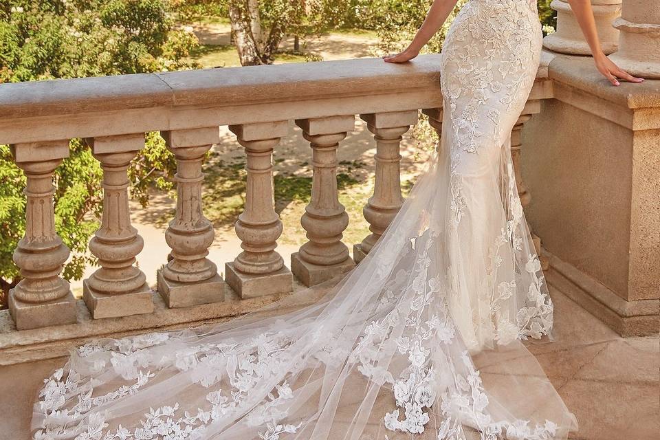 Divina sposa