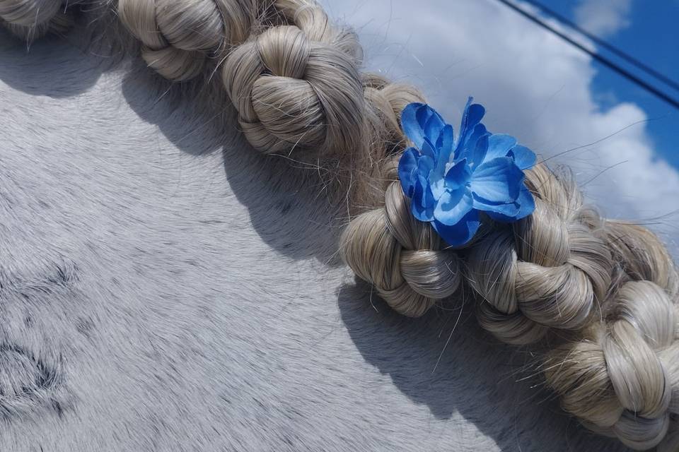 Décoration cheval