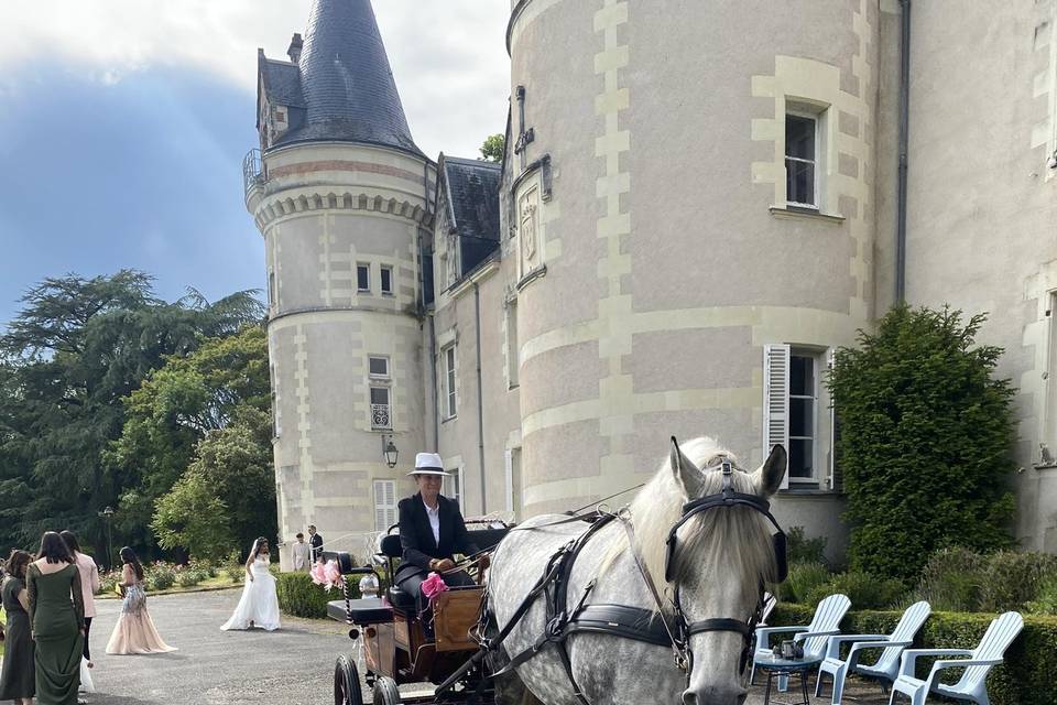 Arrivée mariés