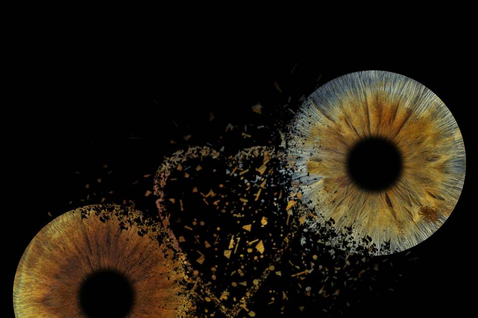 You and Eye Photo Quimper