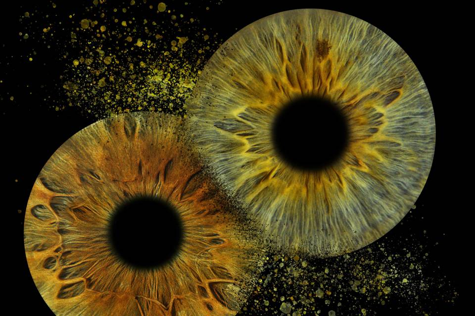 You and Eye Photo Quimper