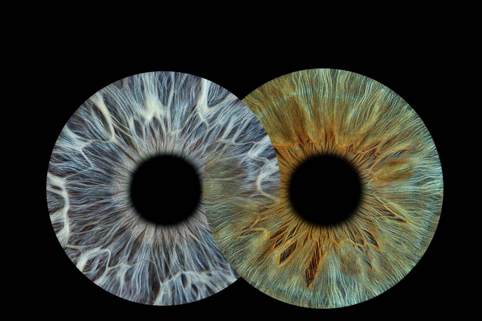 You and Eye Photo Quimper