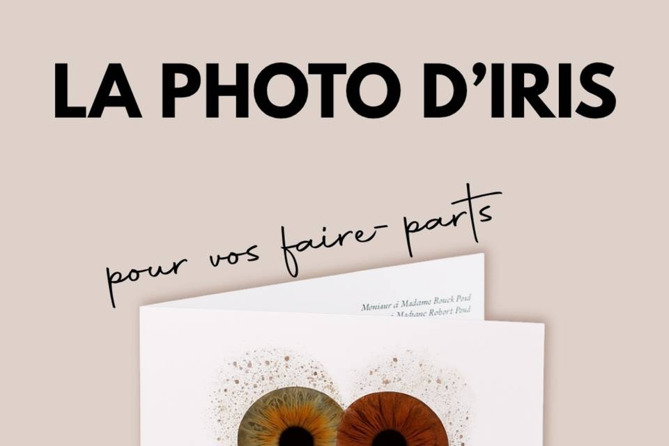 You and eye photo quimper