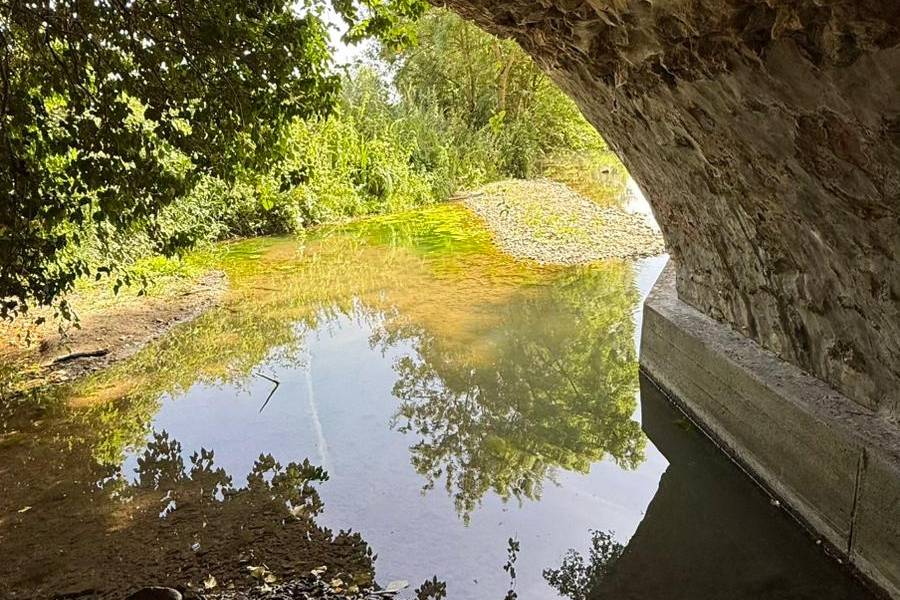 Pont sur la Luire