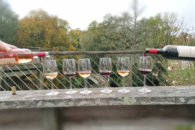 Accord mets et vins