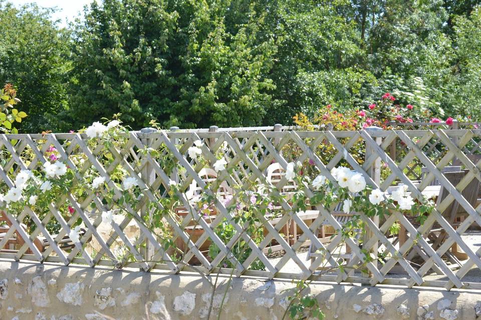La terrasse