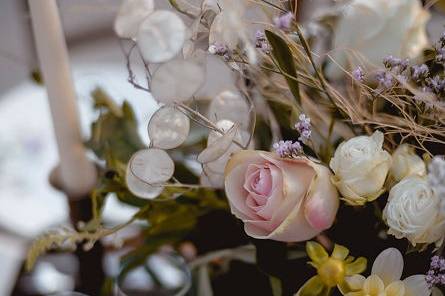 Mariage B&B  - vintage chic