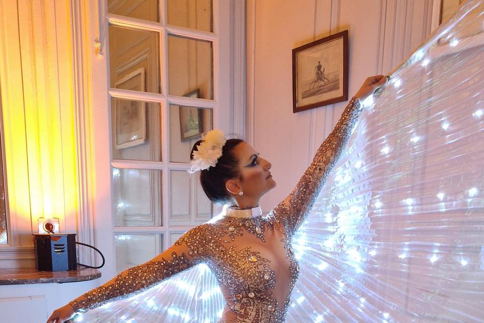 Ailes lumineuses