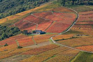 Ermitage de Brouilly 1