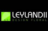 Leylandii