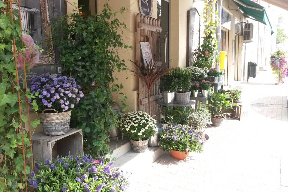 Les Fleurs de la Citadelle