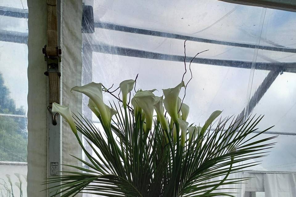Décor de Cocktail