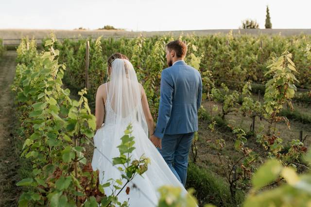 Les vignes du Château